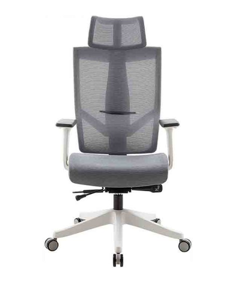 Aero Mesh Ergonomic Chair, Premium Office & Computer Chair with Multi-Adjustable Features by Navodesk, Light Gray - Navodesk AERO-LG 