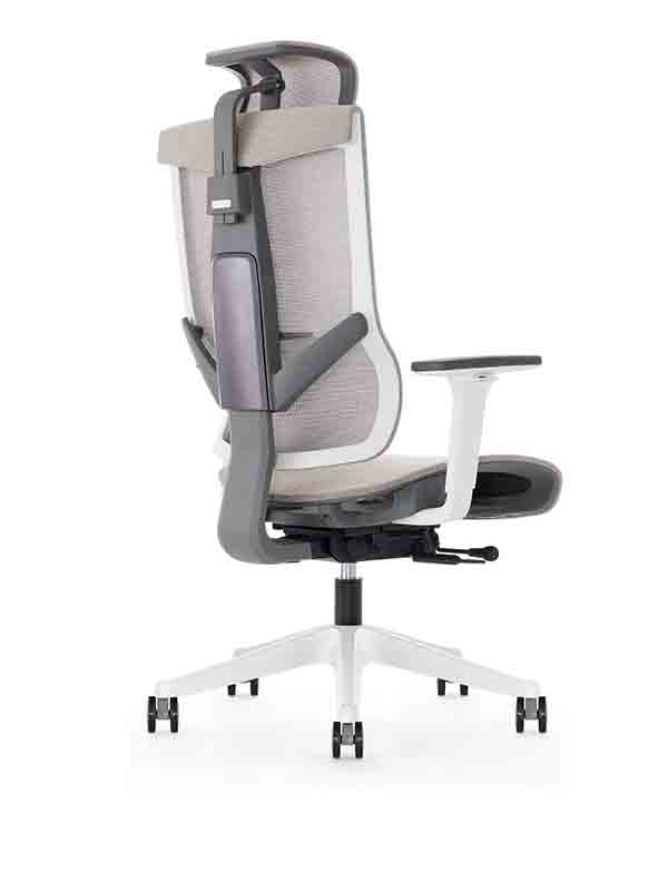 Aero Mesh Ergonomic Chair, Premium Office & Computer Chair with Multi-Adjustable Features by Navodesk, Beige Grey - Navodesk AERO-MESH-BG