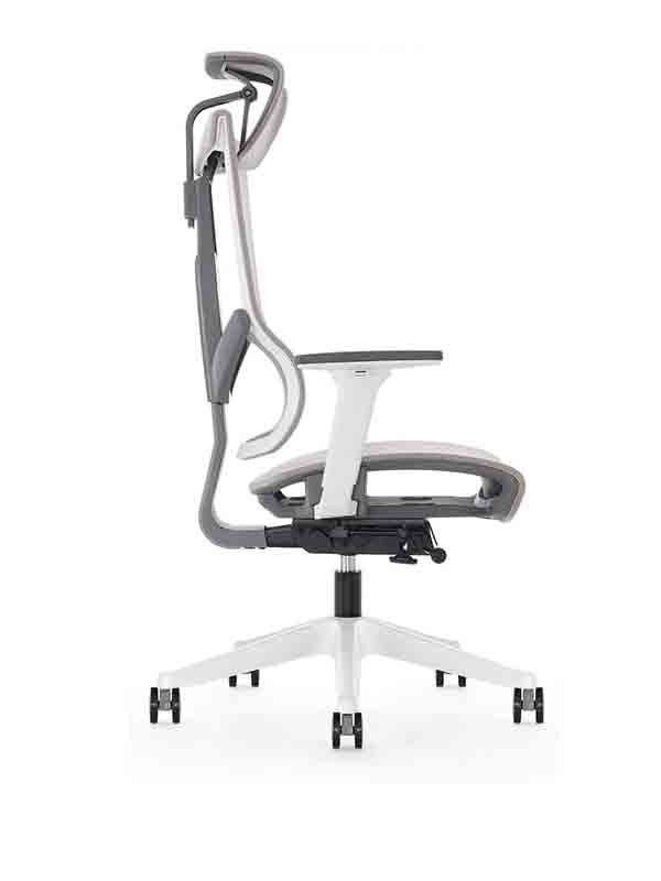 Aero Mesh Ergonomic Chair, Premium Office & Computer Chair with Multi-Adjustable Features by Navodesk, Beige Grey - Navodesk AERO-MESH-BG