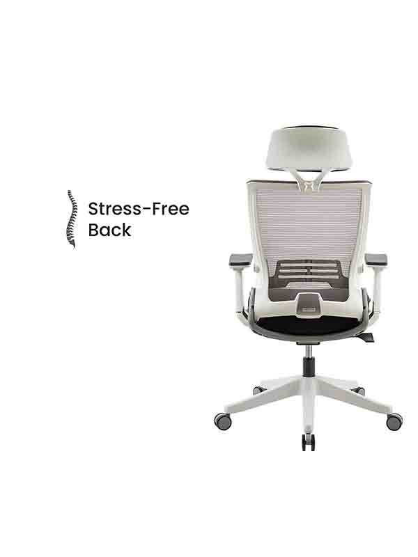 Navodesk KIKO Chair, Ergonomic Folding Design, Premium Office & Computer Chair, Adjustable Features with Lumbar Support, Black with Warranty